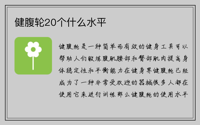 健腹轮20个什么水平