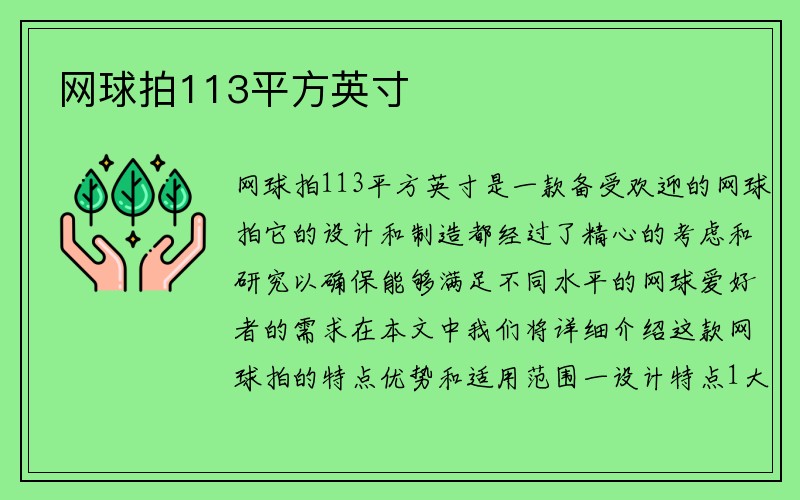 网球拍113平方英寸