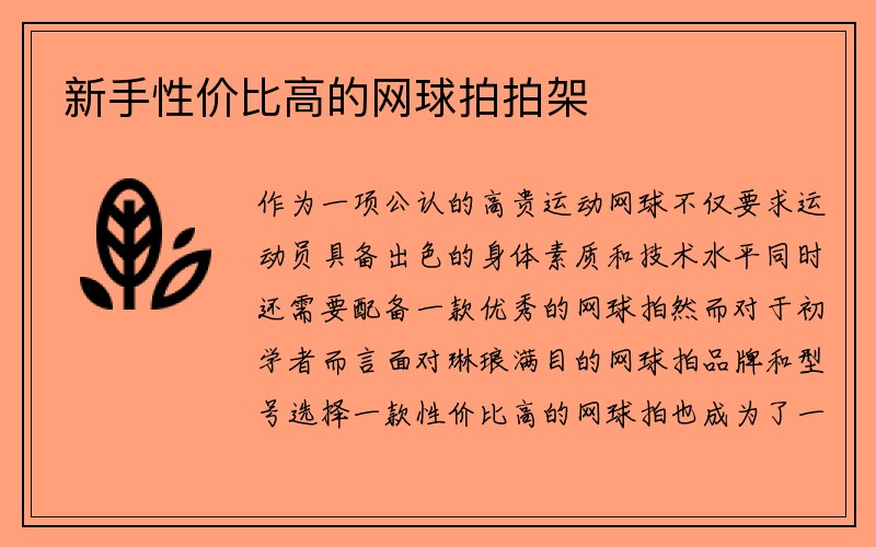 新手性价比高的网球拍拍架