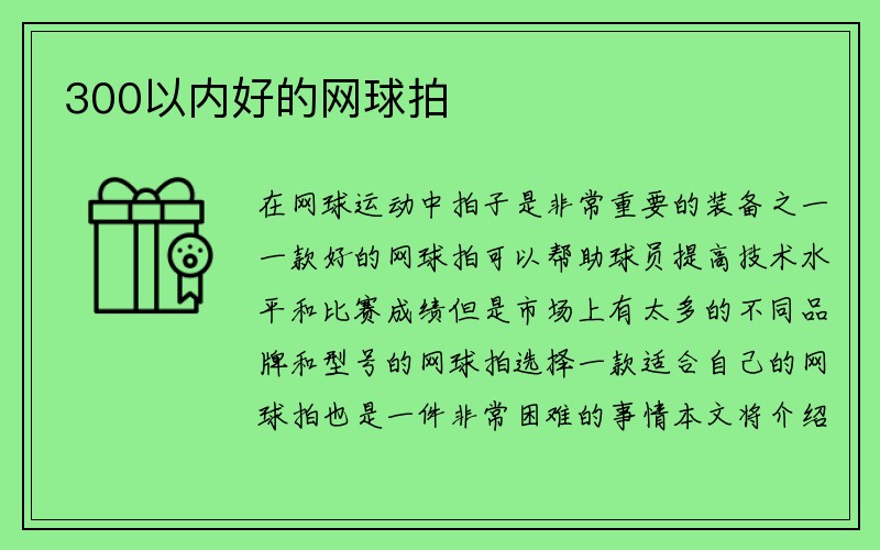 300以内好的网球拍