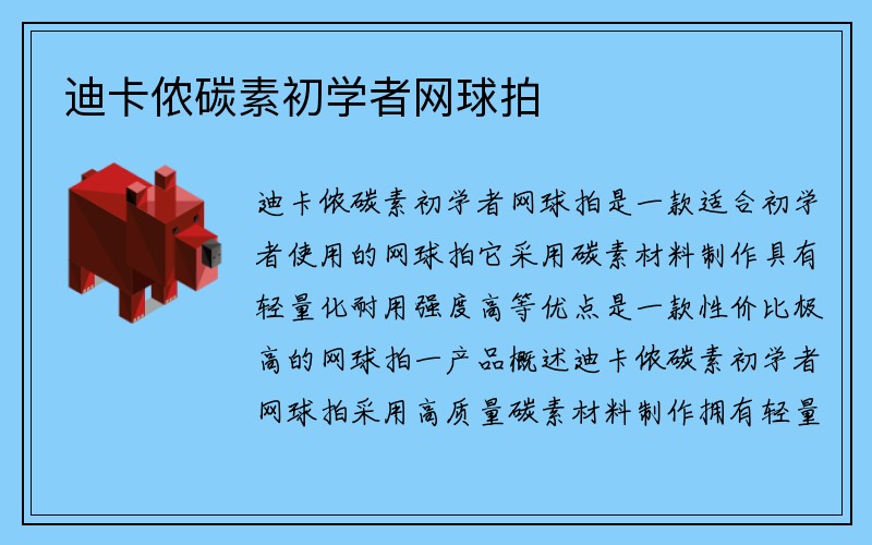 迪卡侬碳素初学者网球拍